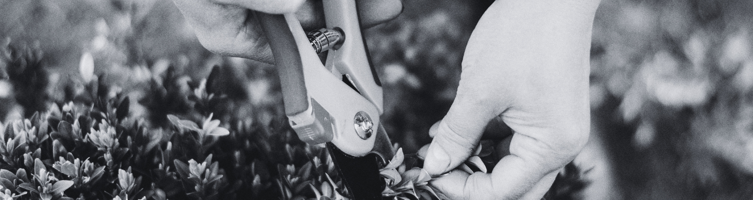 Pruning shears an Example of an Overmolded Tool Handle